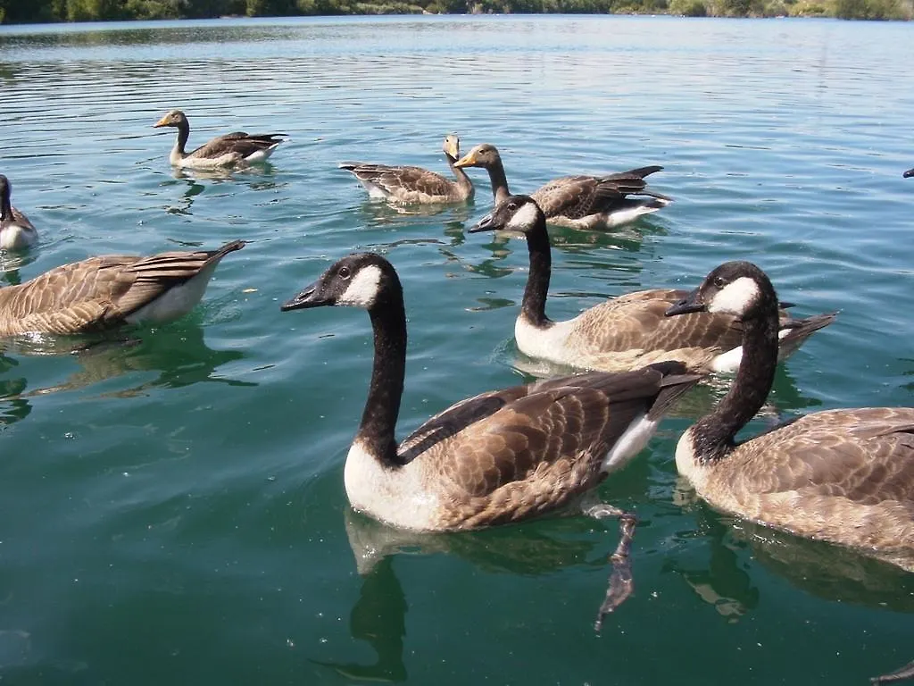 Ubytování v soukromí B&B Am See Koeln - Privatzimmer